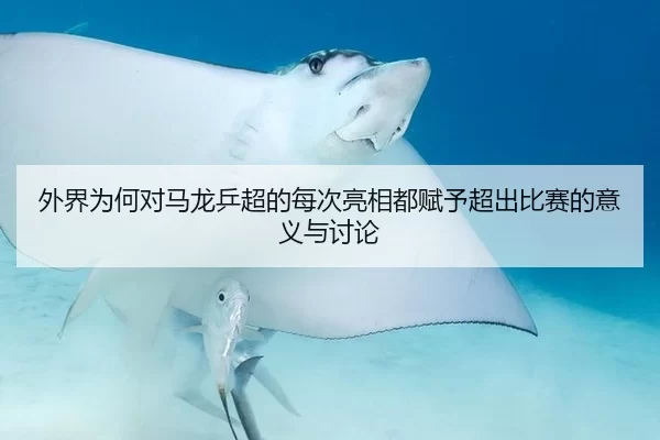 外界为何对马龙乒超的每次亮相都赋予超出比赛的意义与讨论